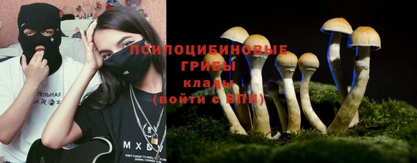 первитин Алексин