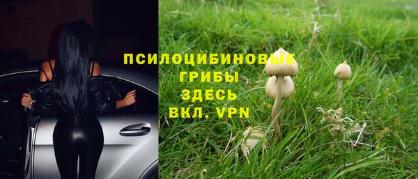 кокс Алзамай