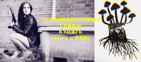 кокс Алзамай