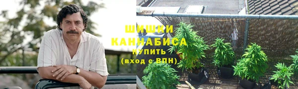 кокс Алзамай