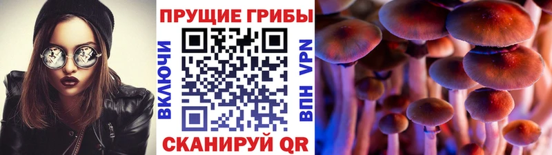 Галлюциногенные грибы мицелий  Малаховка 